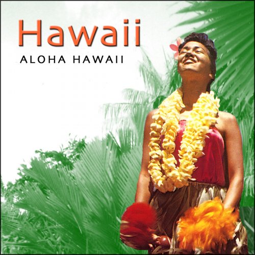 Aloha Hawaii - Hawaiian Guitar