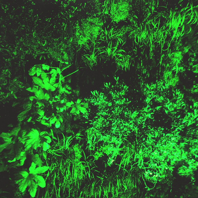 Letra De I Follow Rivers De Marika Hackman Musixmatch The latest music videos, short movies, tv shows, funny and extreme videos. i follow rivers de marika hackman