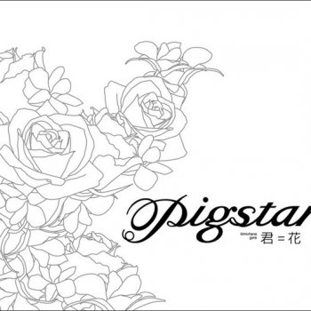 Pigstar CD 直筆サイン入り　君＝花　衝動　純情ロマンチカ　OP CD