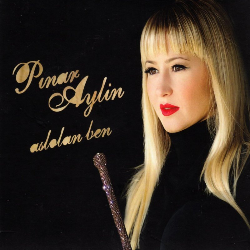 Pinar Aylin Yolcu Yolunda Gerek Lyrics Musixmatch