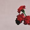 Love In The Future (Expanded Edition) John Legend - cover art
