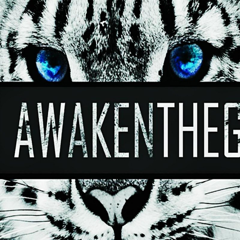 Awaken The Giant I Fooled You Lyrics Awaken The Giant I Fooled You Songtext Musixmatch