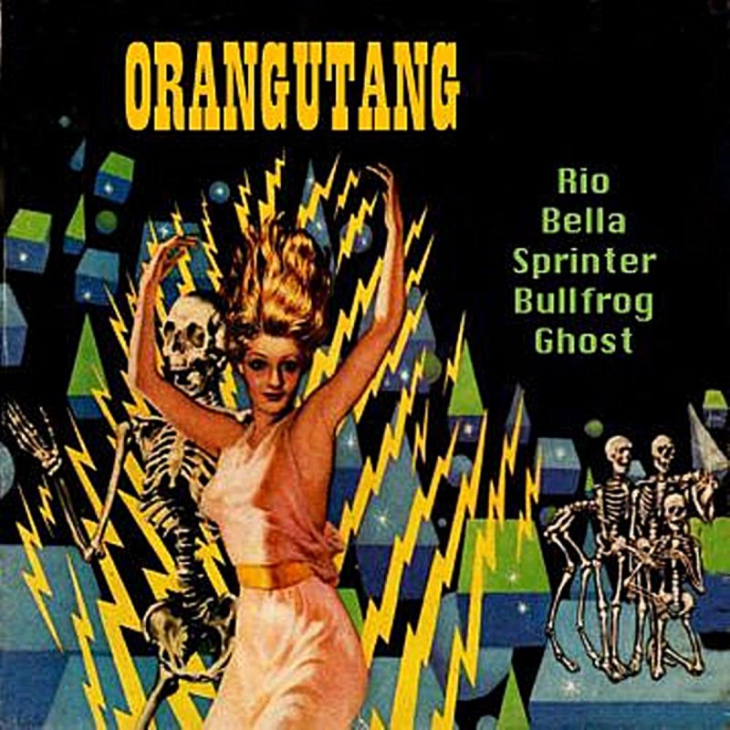 Orangutang Rio Songtext Musixmatch As far as i know they only have one ep.? musixmatch