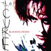 Bloodflowers The Cure - cover art