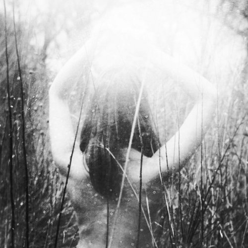 Kendal Johansson Blue Moon Songtext Musixmatch musixmatch