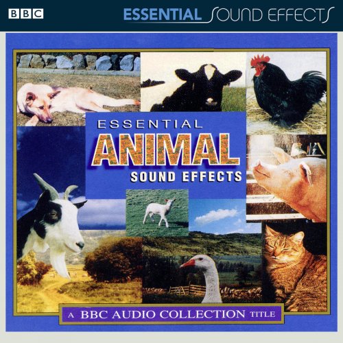 BBC Sound Effects Library Two Horses Out on Ride (Riders Perspective