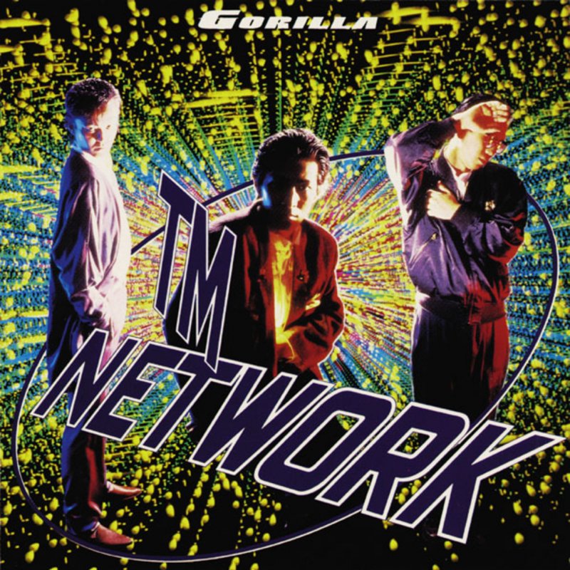 tm network avex
