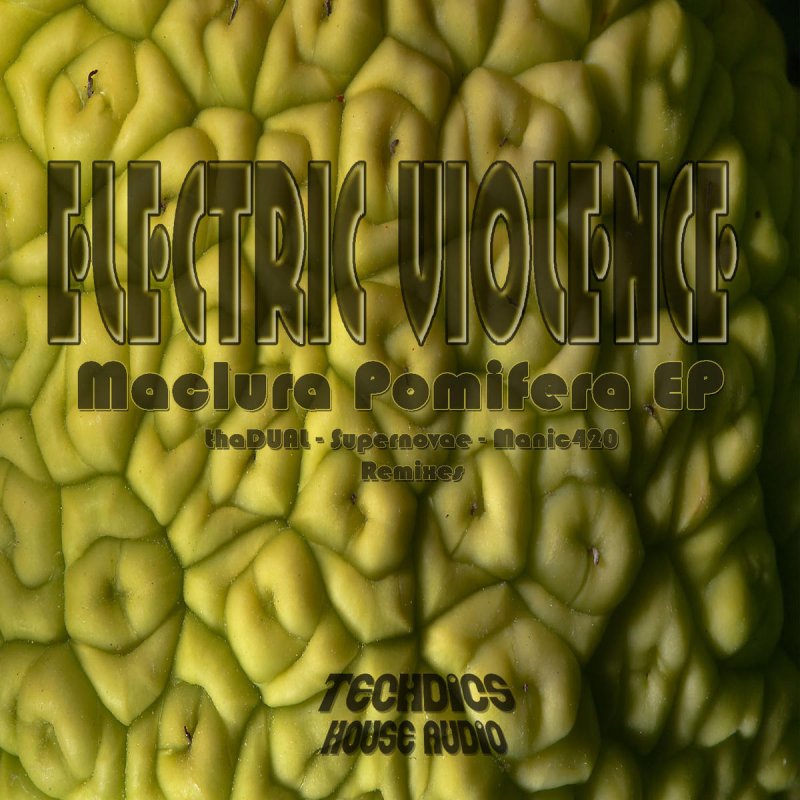 music lyric violence music lyric violence