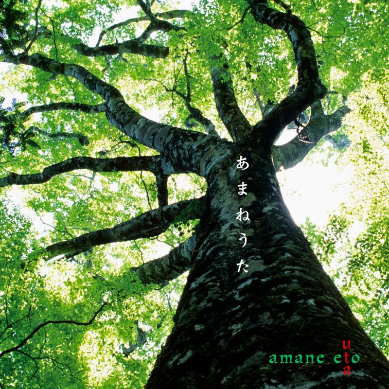 I tree. Дерево для видео