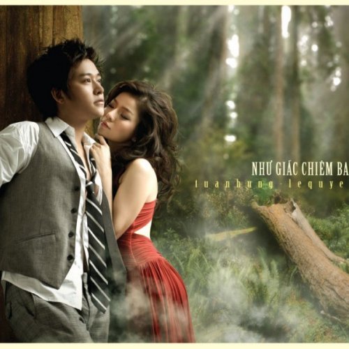 Tuấn Hưng Lệ Quyen Như Giấc Chiem Bao Lyrics Musixmatch