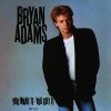 You Want It You Got It Bryan Adams - cover art