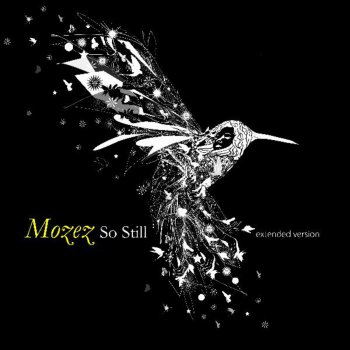 mozez feel