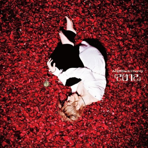 Acid Black Cherry Re Birth Lyrics Musixmatch