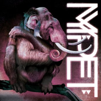 Tiger Testo Mypet Mtv Testi E Canzoni