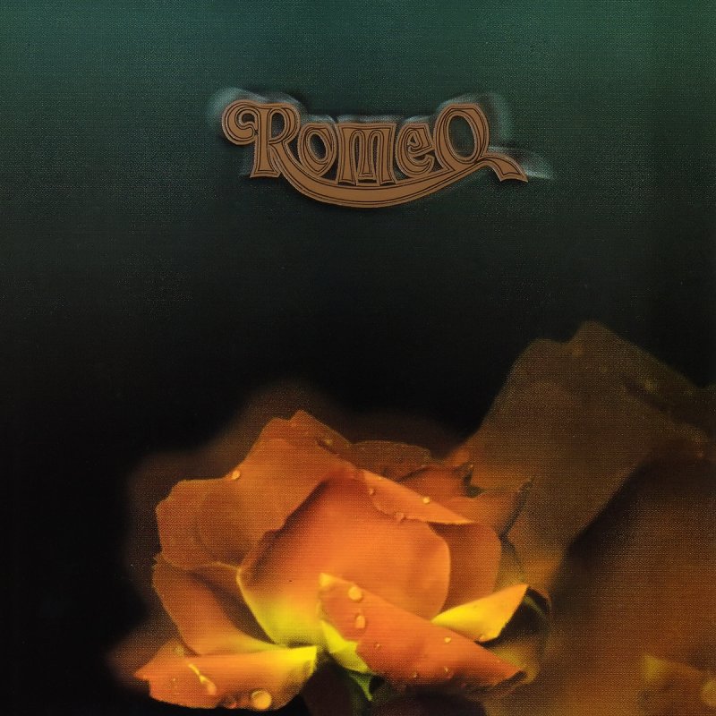 Chord Romeo Bunga Terakhir : Lirik Dan Chord Lagu Bunga Terakhir Bebi