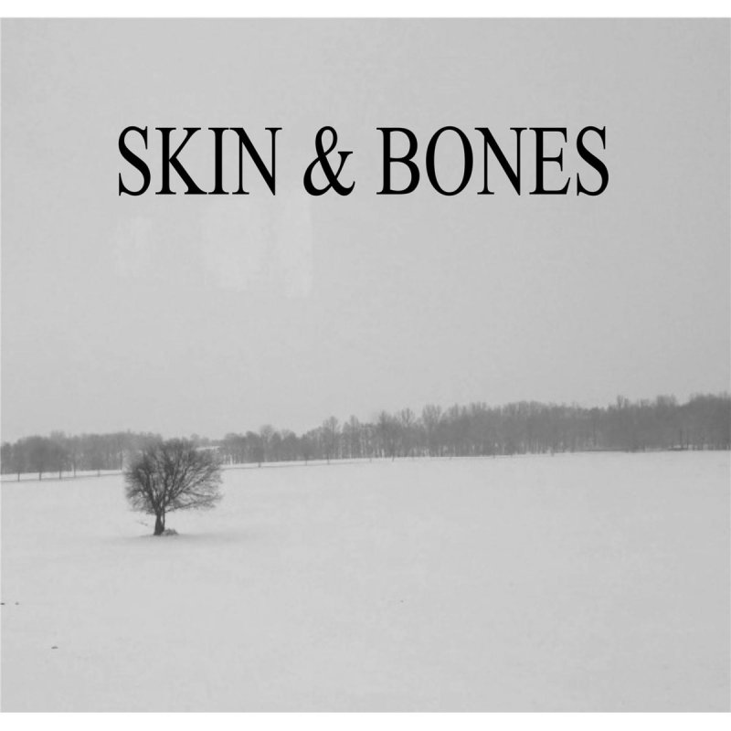 Skin and bones david. Обложки песен Bones. Bones skinny. Skin and Bone. Bone Skinhead.