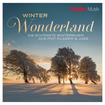 Brigitte Winter Wonderland By Various Artists Album Lyrics