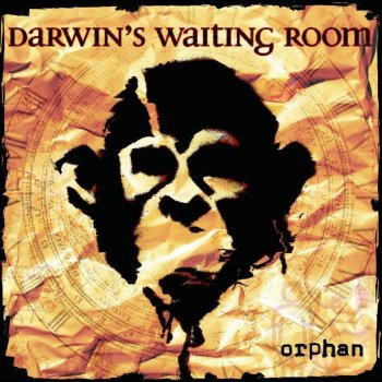 Orphan By Darwin S Waiting Room Album Lyrics Musixmatch