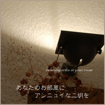 Relaxing Erhu In Your Room By Various Artists Album Lyrics Musixmatch