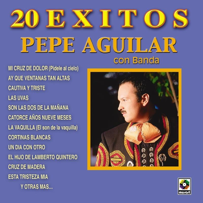 Pepe Aguilar Letra De El Hijo De Lamberto Quintero Musixmatch Just a mexican having fun making memes. musixmatch
