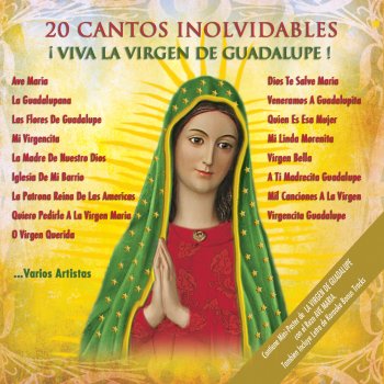 Letras Del Album 20 Cantos Inolvidables Viva La Virgen De Guadalupe De Various Artistas Musixmatch El Catalogo De Letras Mas Grande Del Mundo ¿necesito la letra de la cancion la guadalupana en nahuatl? letras del album 20 cantos inolvidables