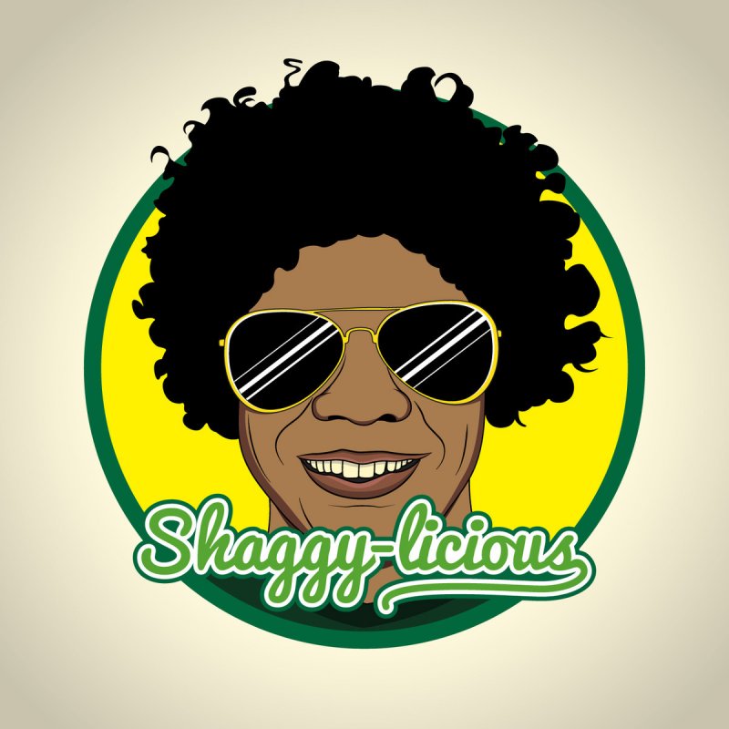 Shaggy Licious It Wasn T Me Lyrics Musixmatch