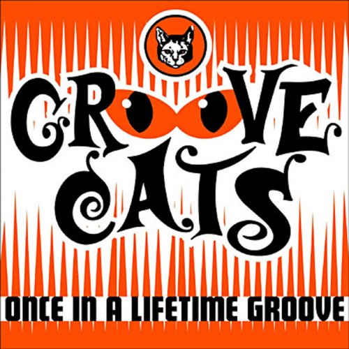 Baby time groove cats once in a lifetime 2006. Кэт грув. Беби тайм groove cats. Беби тайм groove cats. Ваву тиме groove cats.