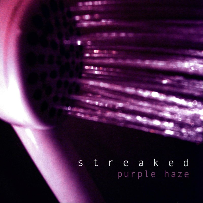 Purple Haze Bright Future in Sales Lyrics Musixmatch