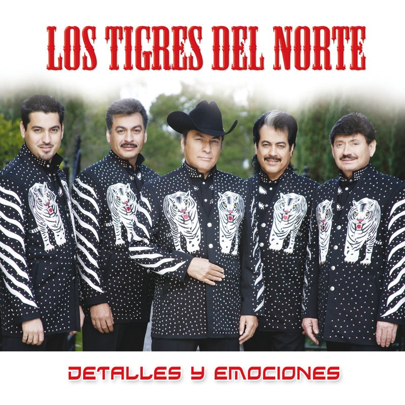 Letra de Lágrimas de Sangre de Los Tigres Del Norte Musixmatch