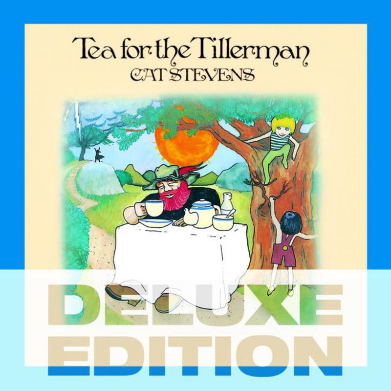 Cat Stevens Wild World Lyrics Musixmatch