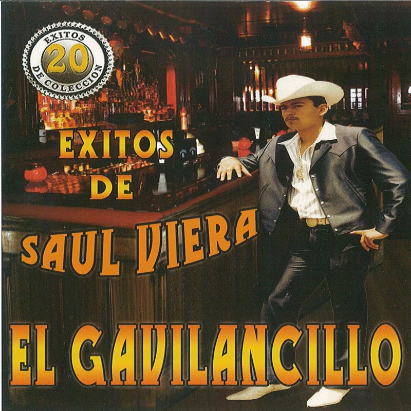 Saul Letras Letra de Los Laureles de Saul Viera