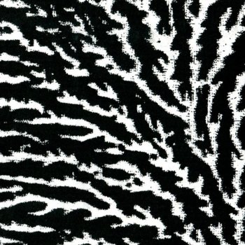 Cover The Windows And Walls By Grouper Al Lyrics Walls By Grouper Al Lyrics