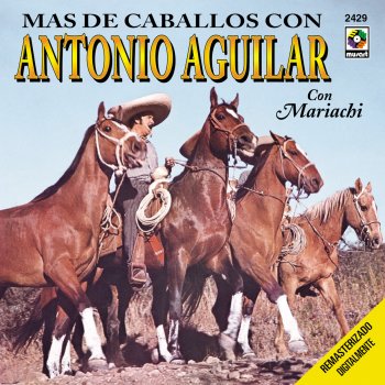 Mi Caballo Plateado Testo Antonio Aguilar Mtv Testi E Canzoni El potro lobo gateado vicente fernandez. mi caballo plateado testo antonio