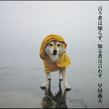I Testi Delle Canzoni Dell Album 前口上 Di 早川義夫 Mtv I Testi Delle Canzoni Dell Album 前口上 Di 早川義夫 Mtv