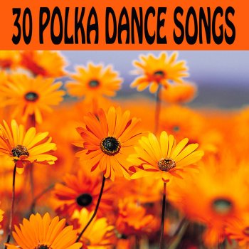 Apples Peaches Pumpkin Pie Polka Testo The O Neill Brothers Group Mtv Testi E Canzoni I try to put my life in a bag. testi canzoni