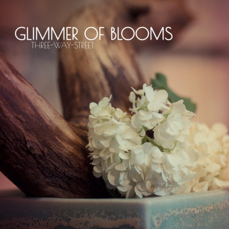 Glimmer Of Blooms Confession Lyrics Musixmatch