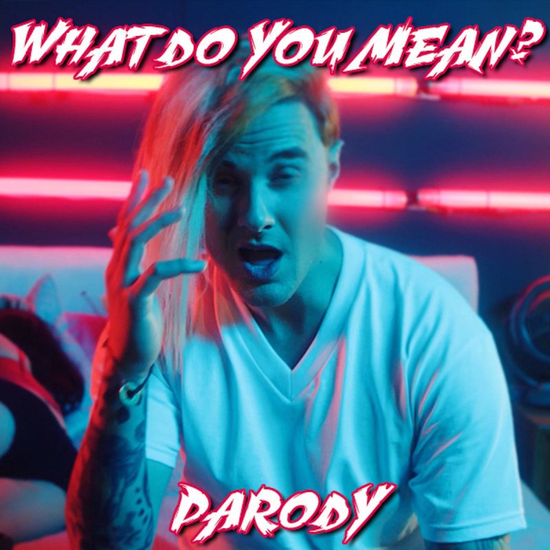 What Do You Mean Parody