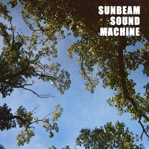 Sunbeam Sound Machine I Dreamt I Saw You In A Dream lyrics