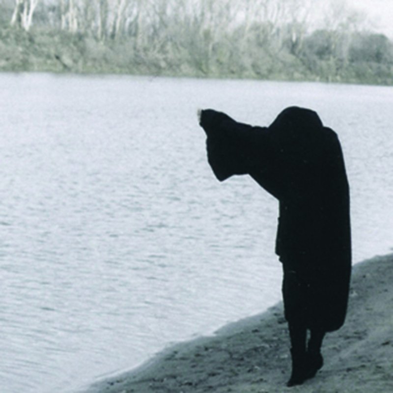Chelsea Wolfe The Whys Lyrics Musixmatch