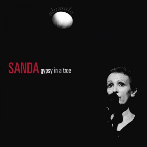 Sanda Weigl Feat Keren Ann Un Tigan Avea O Casa Lyrics Musixmatch