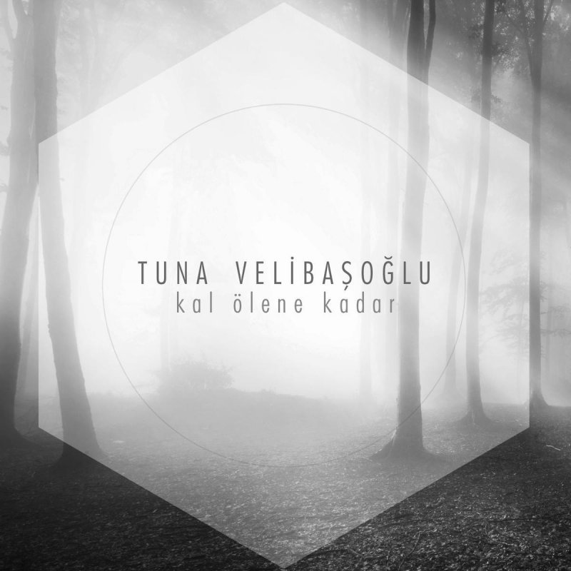 Tuna Velibasoglu Kal Olene Kadar Lyrics Musixmatch