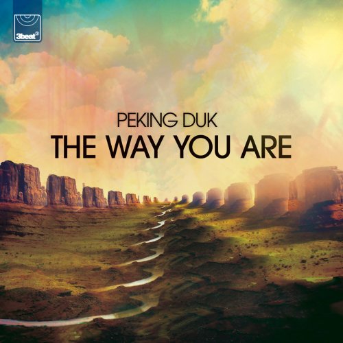 The Way You Are (Remixes)