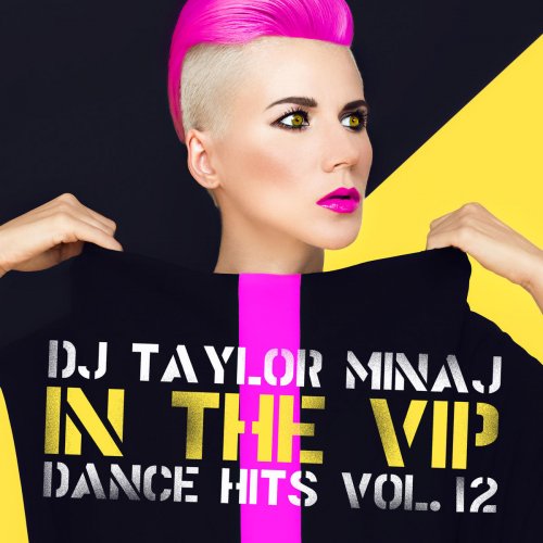 In the VIP Dance Hits Vol. 12