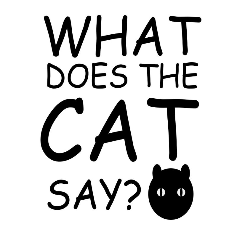 N2 The Talking Cat What Does The Cat Say Lyrics Musixmatch