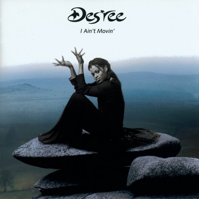 Des'ree - I Ain't Movin' - Percussion Reprise Lyrics ...