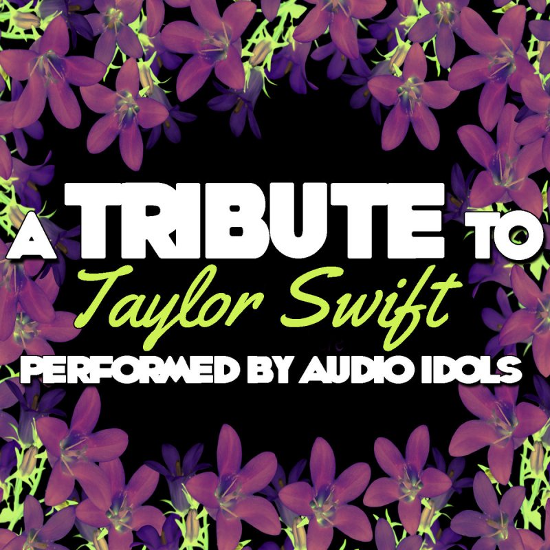 Audio Idols Story of Us Lyrics Musixmatch