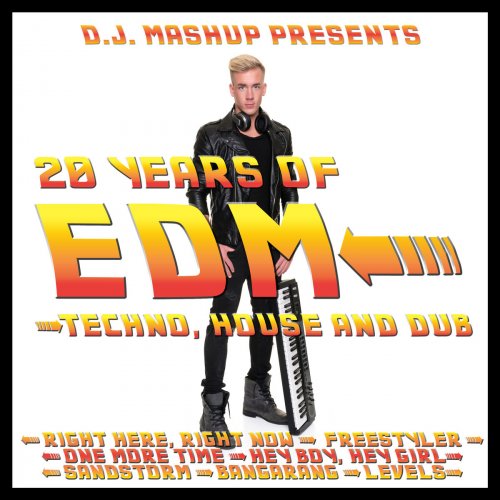 20 Years of EDM: Techno, House and Dub
