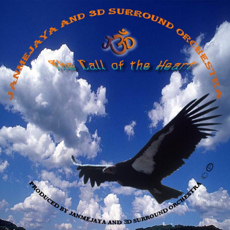 Letra De Jaya Shiva Shankara Celtic Kirtan De Janmejaya 3d Surround Orchestra Musixmatch You can find the lyrics to the mantra here. musixmatch
