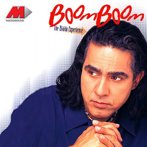 Boom Boom - The Biddu Experience