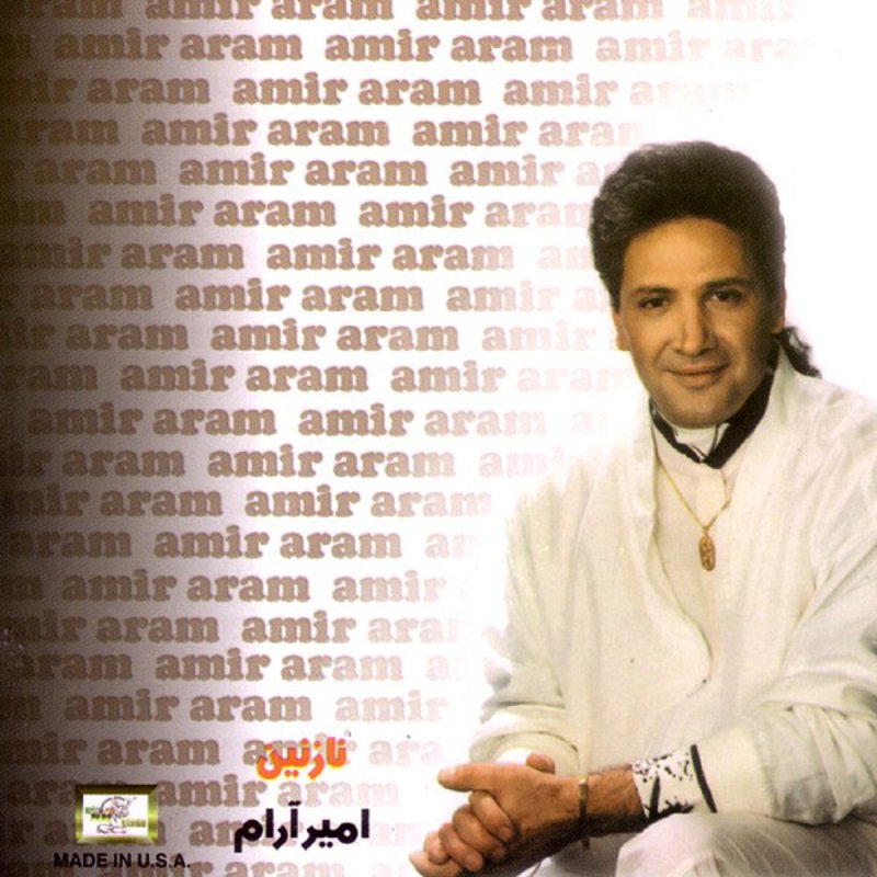 Слова песни араме. Aram Aram Lyrics. Aram Aram Reza Malekzadeh текст. Aram Aram текст песни. Aram Aram на каком языке эта песня.